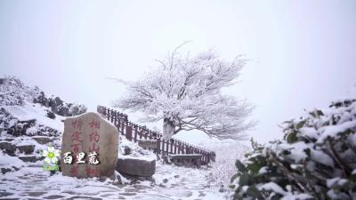 你好，夷陵！百里荒！
