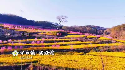 你好，夷陵！分乡镇·棠垭村！