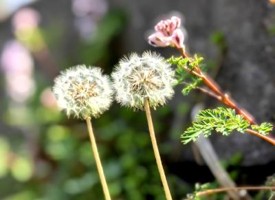 三月花似海 莫负春之约