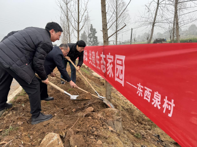 夷陵区鸦鹊岭镇：履行植树义务 共建美丽乡村