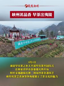 峡州茗品香 早茶出夷陵