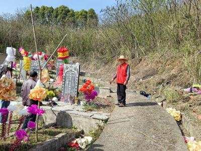 清明防火，守护绿色家园