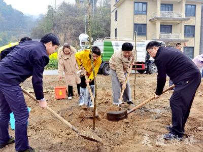 “海归青年人才林”义务植树活动暨一季度“海归青年说”活动举行