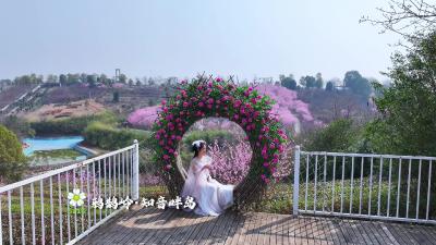 你好，夷陵！鸦鹊岭，知音畔岛！