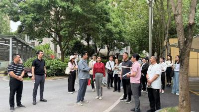 对标先进取真经 东城试验区赴西陵区开展基层治理学习交流