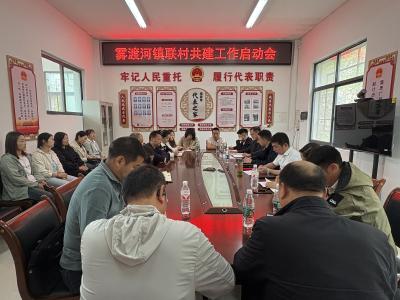 党建引领聚合力 产业协同促发展
