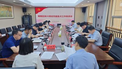 全区新兴领域党建重点工作推进会暨党建指导员座谈会召开