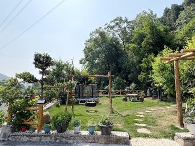 夷陵区罗家畈村：小庭院“种”出大文明 “五众法”解锁基层治理新思路