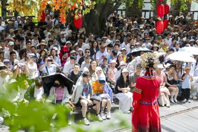 夷陵：文旅融合双节同庆 传统文化与童趣体验交织绽放