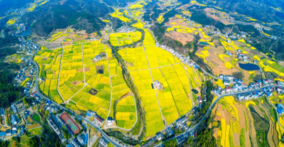 【“支点建设”访谈】夷陵区农业农村局：锚定“支点建设”  谱写乡村振兴新篇章