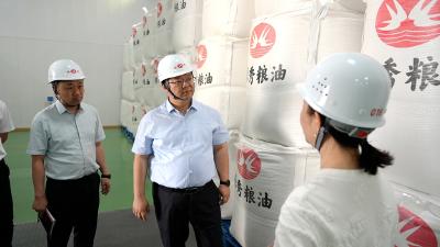 扛牢粮食安全政治责任 切实抓好农业生产