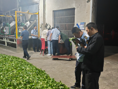 邓村乡：突击检查护茶香，多方联动保品质