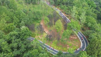 夷陵区首届森林公园亲情趣味健康跑开跑