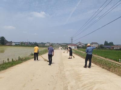 夷陵区鸦鹊岭镇：义务劳动践矫正，乡村美颜共行动