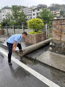 分乡镇：“形象”整理齐出动 人居环境焕新颜