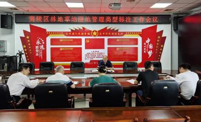 夷陵区“三个强化”开展林地草地湿地管理类型标注工作
