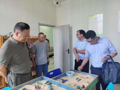 夷陵区开展中小学心理健康教育工作评估