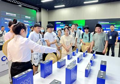 青年学子看家乡 感受发展新面貌