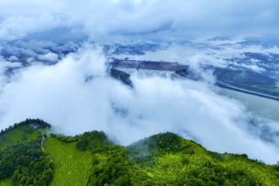 三峡坝区云海翻腾成夏日限定美景