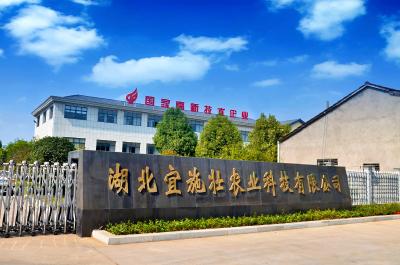 从默默无闻到全国闻名——宜施壮依靠创新引领肥料产品迈向中高端