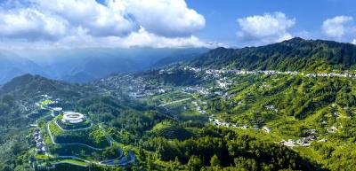 从茶山到“诗与远方”：邓村高山10万亩生态茶园，茶旅融合催生出的新风景