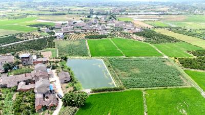 宜昌夷陵：高标准农田建设绘就乡村振兴新画卷
