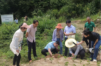夷陵区两家农业企业获批建立专家工作站