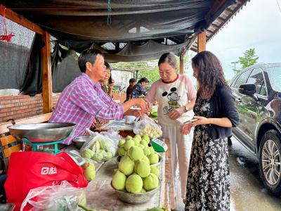 夷陵区分乡镇：“共享摊位”激活乡村经济 四季果蔬“奏响”村民幸福曲
