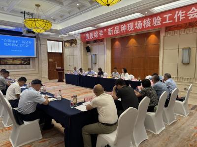 育种二十载，今朝结硕果，“宜陵绵羊”成功通过国家现场核验