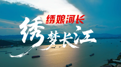 夷陵区《绣娘河长·绣梦长江》短视频作品荣获省级奖项