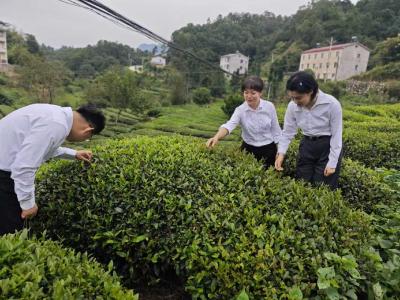 一线调研谋良策 聚焦聚力建支点    