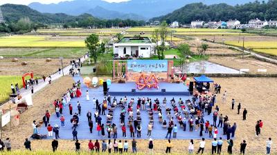 “稻田丰收嘉年华”在夷盛大启幕