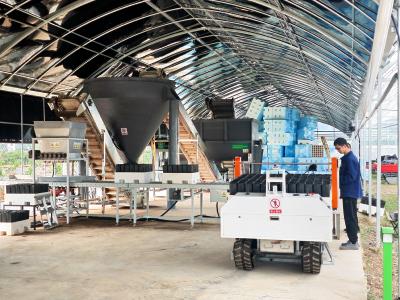 全国首条柑橘育苗软钵通用智慧装填生产线投用