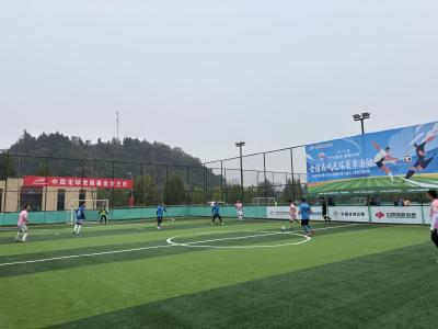 2025“全民健身健康中国”全国县域足球赛事活动湖北赛区暨宜昌市夷陵区第六届五人制足球联赛激情开战