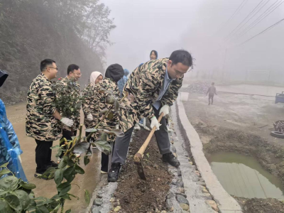 烟雨牛坪践“四同” 青春植绿添新颜
