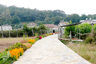 村湾焕新超给力 出门就见“小幸福”