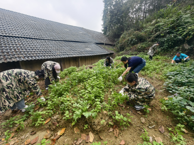 美化家园齐动手 村容旧貌换新颜