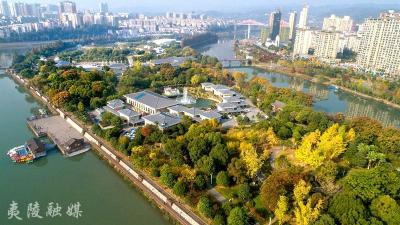 充电不打烊！夷陵区青干班“四同”进行时