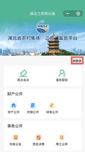 湖北省农村“三资”监管平台小程序使用指南请您查收！ 