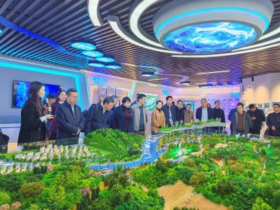 驻夷省市人大代表视察夷陵区重点项目建设