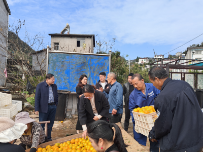 干部助农销售忙 村企携手解民忧