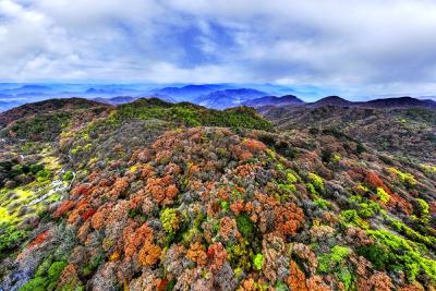 深秋限定“调色盘”！宜昌圈椅淌登顶见惊喜，晴雨之间解锁高山七彩浪漫