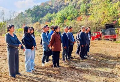 夷陵区召开秸秆综合利用项目推进会 擘画资源循环利用新蓝图