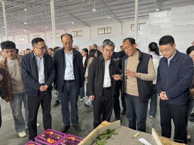 全省柑橘产业高质量发展培训班在夷陵举办