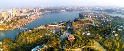 夷陵区赴黑龙江开展回访交流 共拓柑橘对俄出口新通道