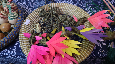 【提案追踪】非遗焕新生 发展添动能