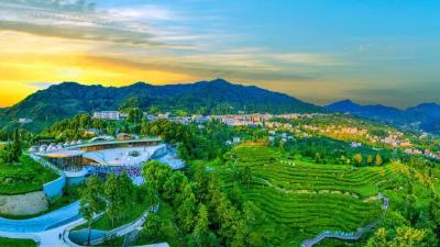 夷陵“十四五”成绩单：乡村沃野绘新图