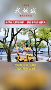 冬季绿化精细管护，期待来年春满枝头