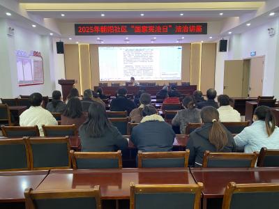 尊宪崇法 | 法治宣传进社区  普法惠民润人心