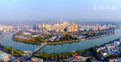 扛牢责任抓落实 精准施策防风险